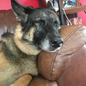 Meet your Posher, Nicki